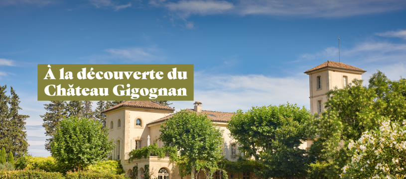 À la découverte du Château Gigognan !